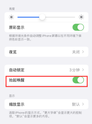 颍泉苹果授权维修站分享iPhone轻点无法唤醒怎么办