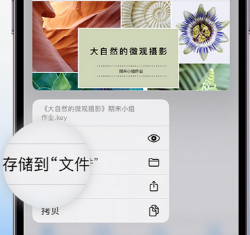 颍泉apple维修中心分享iPhone文件应用中存储和找到下载文件