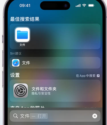 颍泉apple维修中心分享iPhone文件应用中存储和找到下载文件