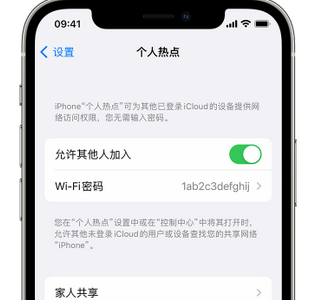 颍泉apple服务站点分享iPhone上个人热点丢失了怎么办 