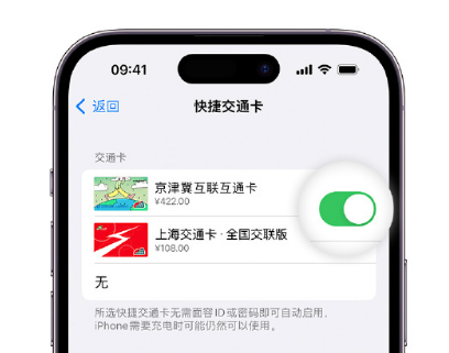 颍泉apple维修点分享iPhone上更换Apple Pay快捷交通卡手绘卡面 