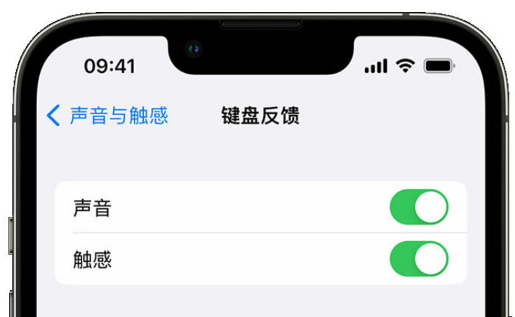 颍泉苹果手机维修分享iPhone 14触感键盘使用方法 