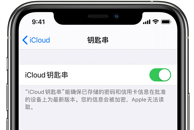 颍泉苹果手机维修分享在 iPhone 上开启 iCloud 钥匙串之后会储存哪些信息 