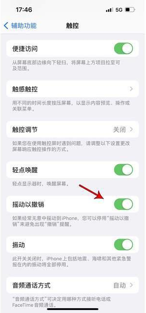 颍泉苹果手机维修分享iPhone手机如何设置摇一摇删除文字 
