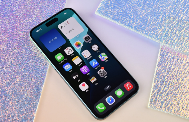 颍泉苹果手机维修分享为什么大家不喜欢苹果iPhone 16 Plus 