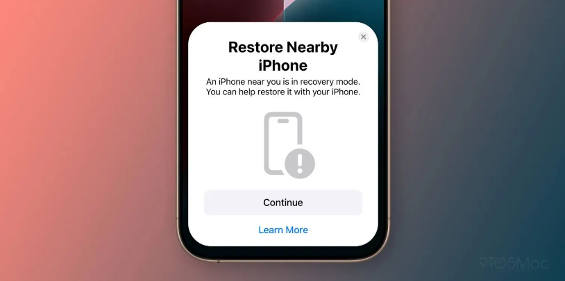 颍泉苹果手机维修分享苹果 iPhone 16 / Pro 系列被曝配 RecoveryOS 